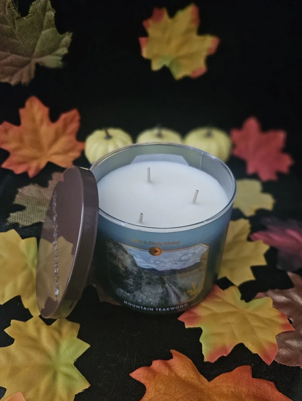 NWT Bath & Body Works Mountain Teakwood 3-wick Candle - Blue & Brown